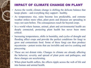 Impact of Climate Change on Plant Health and Agricultural ...