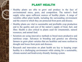 PLANT HEALTH
 Healthy plants are able to grow and produce in the face of
environmental stress, pests, and competition. The nation’s food
supply relies upon sufficient sources of healthy plants. A range of
variables affect plant health, including the surrounding environment
and the extent to which they are protected from pests and disease.
 Healthy plants are vital to sustainable and profitable crop production
and to the quality and cost of the nation’s supply of food, fuel, and
fiber. Health is also critical to plants used for ornamentals, natural
resources, and animal feed.
 Scientists are using innovative methods to breed more productive and
nutritious crops. Advances in breeding and genetics are allowing
farmers to grow plant varieties that are healthier and more resilient to
drought and losses from pests and diseases.
 Research and innovation on plant health are key to keeping crops
healthy in a challenging environment while aiming for a sustainable,
climate-neutral and biodiversity-friendly farming system.
 