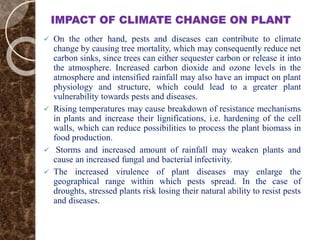IMPACT OF CLIMATE CHANGE ON PLANT
 On the other hand, pests and diseases can contribute to climate
change by causing tree mortality, which may consequently reduce net
carbon sinks, since trees can either sequester carbon or release it into
the atmosphere. Increased carbon dioxide and ozone levels in the
atmosphere and intensified rainfall may also have an impact on plant
physiology and structure, which could lead to a greater plant
vulnerability towards pests and diseases.
 Rising temperatures may cause breakdown of resistance mechanisms
in plants and increase their lignifications, i.e. hardening of the cell
walls, which can reduce possibilities to process the plant biomass in
food production.
 Storms and increased amount of rainfall may weaken plants and
cause an increased fungal and bacterial infectivity.
 The increased virulence of plant diseases may enlarge the
geographical range within which pests spread. In the case of
droughts, stressed plants risk losing their natural ability to resist pests
and diseases.
 