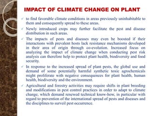 IMPACT OF CLIMATE CHANGE ON PLANT
 to find favorable climate conditions in areas previously uninhabitable to
them and consequently spread to these areas.
 Newly introduced crops may further facilitate the pest and disease
distribution in such areas.
 The impacts of pests and diseases may even be boosted if their
interactions with prevalent hosts lack resistance mechanisms developed
in their area of origin through co-evolution. Increased focus on
analyzing the impact of climate change when conducting pest risk
analysis can therefore help to protect plant health, biodiversity and food
security.
 In response to the increased spread of plant pests, the global use and
demand of some potentially harmful synthetic toxic agrochemicals
might proliferate with negative consequences for plant health, human
health, biodiversity and the environment.
 Agricultural and forestry activities may require shifts in plant breeding
and modifications in pest control practices in order to adapt to climate
change, which demand renewed technical know-how, in particular with
regard to prevention of the international spread of pests and diseases and
the disciplines to surveil pest occurrence.
 