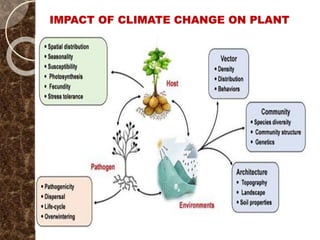 IMPACT OF CLIMATE CHANGE ON PLANT
 