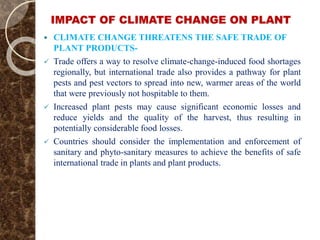 IMPACT OF CLIMATE CHANGE ON PLANT
 CLIMATE CHANGE THREATENS THE SAFE TRADE OF
PLANT PRODUCTS-
 Trade offers a way to resolve climate-change-induced food shortages
regionally, but international trade also provides a pathway for plant
pests and pest vectors to spread into new, warmer areas of the world
that were previously not hospitable to them.
 Increased plant pests may cause significant economic losses and
reduce yields and the quality of the harvest, thus resulting in
potentially considerable food losses.
 Countries should consider the implementation and enforcement of
sanitary and phyto-sanitary measures to achieve the benefits of safe
international trade in plants and plant products.
 