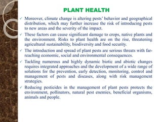 PLANT HEALTH
 Moreover, climate change is altering pests’ behavior and geographical
distribution, which may further increase the risk of introducing pests
to new areas and the severity of the impact.
 These factors can cause significant damage to crops, native plants and
the environment. Risks to plant health are on the rise, threatening
agricultural sustainability, biodiversity and food security.
 The introduction and spread of plant pests are serious threats with far-
reaching economic, social and environmental consequences.
 Tackling numerous and highly dynamic biotic and abiotic changes
requires integrated approaches and the development of a wide range of
solutions for the prevention, early detection, monitoring, control and
management of pests and diseases, along with risk management
strategies.
 Reducing pesticides in the management of plant pests protects the
environment, pollinators, natural pest enemies, beneficial organisms,
animals and people.
 