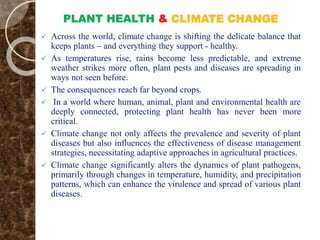 PLANT HEALTH & CLIMATE CHANGE
 Across the world, climate change is shifting the delicate balance that
keeps plants – and everything they support - healthy.
 As temperatures rise, rains become less predictable, and extreme
weather strikes more often, plant pests and diseases are spreading in
ways not seen before.
 The consequences reach far beyond crops.
 In a world where human, animal, plant and environmental health are
deeply connected, protecting plant health has never been more
critical.
 Climate change not only affects the prevalence and severity of plant
diseases but also influences the effectiveness of disease management
strategies, necessitating adaptive approaches in agricultural practices.
 Climate change significantly alters the dynamics of plant pathogens,
primarily through changes in temperature, humidity, and precipitation
patterns, which can enhance the virulence and spread of various plant
diseases.
 