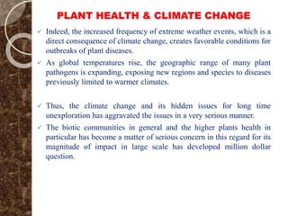 PLANT HEALTH & CLIMATE CHANGE
 Indeed, the increased frequency of extreme weather events, which is a
direct consequence of climate change, creates favorable conditions for
outbreaks of plant diseases.
 As global temperatures rise, the geographic range of many plant
pathogens is expanding, exposing new regions and species to diseases
previously limited to warmer climates.
 Thus, the climate change and its hidden issues for long time
unexploration has aggravated the issues in a very serious manner.
 The biotic communities in general and the higher plants health in
particular has become a matter of serious concern in this regard for its
magnitude of impact in large scale has developed million dollar
question.
 