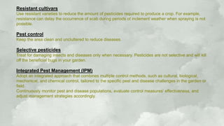 plant health and maintainance.pptx Rajeev Ranjan | PPTX
