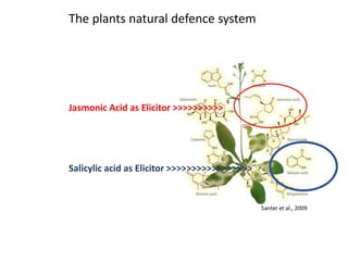 The majority of plant diseases are the result of
abiotic stress and malnutrition
 