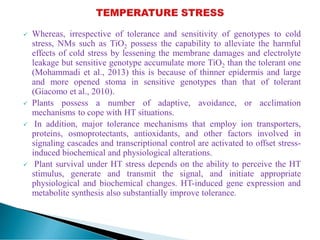  Whereas, irrespective of tolerance and sensitivity of genotypes to cold
stress, NMs such as TiO2 possess the capability to alleviate the harmful
effects of cold stress by lessening the membrane damages and electrolyte
leakage but sensitive genotype accumulate more TiO2 than the tolerant one
(Mohammadi et al., 2013) this is because of thinner epidermis and large
and more opened stoma in sensitive genotypes than that of tolerant
(Giacomo et al., 2010).
 Plants possess a number of adaptive, avoidance, or acclimation
mechanisms to cope with HT situations.
 In addition, major tolerance mechanisms that employ ion transporters,
proteins, osmoprotectants, antioxidants, and other factors involved in
signaling cascades and transcriptional control are activated to offset stress-
induced biochemical and physiological alterations.
 Plant survival under HT stress depends on the ability to perceive the HT
stimulus, generate and transmit the signal, and initiate appropriate
physiological and biochemical changes. HT-induced gene expression and
metabolite synthesis also substantially improve tolerance.
 