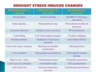 MORPHOLOGICAL
CHANGE
PHYSIOLOGICAL
CHANGES
BIOCHEMICAL
CHANGES
Dwarf plants Closure stomata RUBISCO efficiency
decreased
Early maturity Photosynthesis stop Photochemical efficient
decreases
Leaf area reduction Oxidative stress increases ROS production
Leaf rolling Cell wall integrity changes Oxidative damage
Stomata position Reduction in leaf water
potential
Antioxidant defense
Leaf color, hairs, waxiness Decrease in stomatal
conductance
ABA generation
Leaf orientation High proline accumulation Chlorophyll contents
decline
High to root : shoot Translocation ceases Polyamine generation
Leaf longevity reduction Assimilation stops ABA accumulation
Leaf small size Internal temperature
increases
Carbohydrate production
 