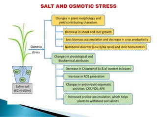 Plant Health in response to Plant stress Physiology | PDF