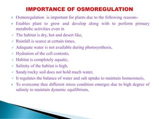  Osmoregulation is important for plants due to the following reasons-
 Enables plant to grow and develop along with to perform primary
metabolic activities even in
 The habitat is dry, hot and desert like,
 Rainfall is scarce at certain times,
 Adequate water is not available during photosynthesis,
 Hydration of the cell contents,
 Habitat is completely aquatic,
 Salinity of the habitat is high,
 Sandy/rocky soil does not hold much water,
 It regulates the balance of water and salt uptake to maintain homeostasis,
 To overcome thee different stress condition emerges due to high degree of
salinity to maintain dynamic equilibrium,
 