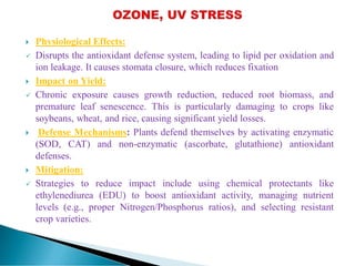  Physiological Effects:
 Disrupts the antioxidant defense system, leading to lipid per oxidation and
ion leakage. It causes stomata closure, which reduces fixation
 Impact on Yield:
 Chronic exposure causes growth reduction, reduced root biomass, and
premature leaf senescence. This is particularly damaging to crops like
soybeans, wheat, and rice, causing significant yield losses.
 Defense Mechanisms: Plants defend themselves by activating enzymatic
(SOD, CAT) and non-enzymatic (ascorbate, glutathione) antioxidant
defenses.
 Mitigation:
 Strategies to reduce impact include using chemical protectants like
ethylenediurea (EDU) to boost antioxidant activity, managing nutrient
levels (e.g., proper Nitrogen/Phosphorus ratios), and selecting resistant
crop varieties.
 