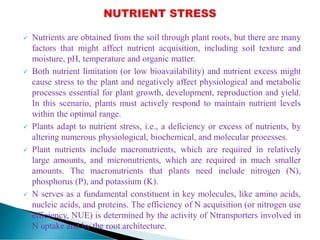  Nutrients are obtained from the soil through plant roots, but there are many
factors that might affect nutrient acquisition, including soil texture and
moisture, pH, temperature and organic matter.
 Both nutrient limitation (or low bioavailability) and nutrient excess might
cause stress to the plant and negatively affect physiological and metabolic
processes essential for plant growth, development, reproduction and yield.
In this scenario, plants must actively respond to maintain nutrient levels
within the optimal range.
 Plants adapt to nutrient stress, i.e., a deficiency or excess of nutrients, by
altering numerous physiological, biochemical, and molecular processes.
 Plant nutrients include macronutrients, which are required in relatively
large amounts, and micronutrients, which are required in much smaller
amounts. The macronutrients that plants need include nitrogen (N),
phosphorus (P), and potassium (K).
 N serves as a fundamental constituent in key molecules, like amino acids,
nucleic acids, and proteins. The efficiency of N acquisition (or nitrogen use
efficiency, NUE) is determined by the activity of Ntransporters involved in
N uptake and by the root architecture.
 
