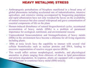  Anthropogenic perturbations of biosphere manifested in a broad array of
global phenomena including accelerated rate of industrialization, intensive
agriculture, and extensive mining accompanied by burgeoning population
and rapid urbanization have not only wreaked the havoc on the availability
of natural resources but also caused widespread and grave contamination of
essential components of life on the plane
 Human-induced disturbance of natural biogeochemical cycles, accentuated
accumulation of heavy metals (HMs) is a problem of paramount
importance for ecological, nutritional, and environmental reasons
 Unprecedented bioaccumulation and biomagnifications of heavy metals
(HMs) in the environment have become a dilemma for all living organisms
including plants.
 HMs at toxic levels have the capability to interact with several vital
cellular biomolecules such as nuclear proteins and DNA, leading to
excessive augmentation of reactive oxygen species (ROS).
 This would inflict serious morphological, metabolic, and physiological
anomalies in plants ranging from chlorosis of shoot to lipid peroxidation
and protein degradation. In response, plants are equipped with a repertoire
of mechanisms to counteract heavy metal (HM) toxicity.
 