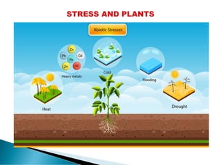 Plant Health in response to Plant stress Physiology | PDF