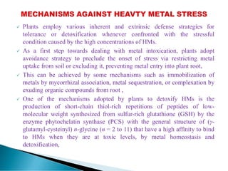  Plants employ various inherent and extrinsic defense strategies for
tolerance or detoxification whenever confronted with the stressful
condition caused by the high concentrations of HMs.
 As a first step towards dealing with metal intoxication, plants adopt
avoidance strategy to preclude the onset of stress via restricting metal
uptake from soil or excluding it, preventing metal entry into plant root,
 This can be achieved by some mechanisms such as immobilization of
metals by mycorrhizal association, metal sequestration, or complexation by
exuding organic compounds from root ,
 One of the mechanisms adopted by plants to detoxify HMs is the
production of short-chain thiol-rich repetitions of peptides of low-
molecular weight synthesized from sulfur-rich glutathione (GSH) by the
enzyme phytochelatin synthase (PCS) with the general structure of (γ-
glutamyl-cysteinyl) n-glycine (n = 2 to 11) that have a high affinity to bind
to HMs when they are at toxic levels, by metal homeostasis and
detoxification,
 