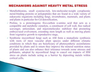  Metallothionins, small cysteine-rich, low-molecular-weight cytoplasmic
metal-binding proteins or polypeptides that are found in a wide variety of
eukaryotic organisms including fungi, invertebrates, mammals, and plants
and plants in particular for Cd detoxification,
 Proline, is a proteinogenic five-carbon α-amino acid that acts as a
compatible and metabolic osmolyte, a constituent of cell wall, free radical
scavenger, antioxidant, and macromolecules stabilizer that promoting
embryo/seed evolvement, extending stem length as well as moving plants
from vegetative growth to reproductive stage,
 Symbiotic mycorrhizal fungi such as AM form a mutualistic symbiosis
with roots of most vascular plant species under different climatic
conditions in which they are beneficiary of photosynthetic assimilations
provided by plants and in return they improve the mineral nutrition status
of plants and can also enhance their tolerance towards some stresses and
pollutants, adopted by mycorrhizal fungi to cancel out impacts of HM
stress on plants include acting as a barrier by depositing metals within
cortical cells,
 