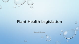 Plant Health Legislation
Buyegi George
 