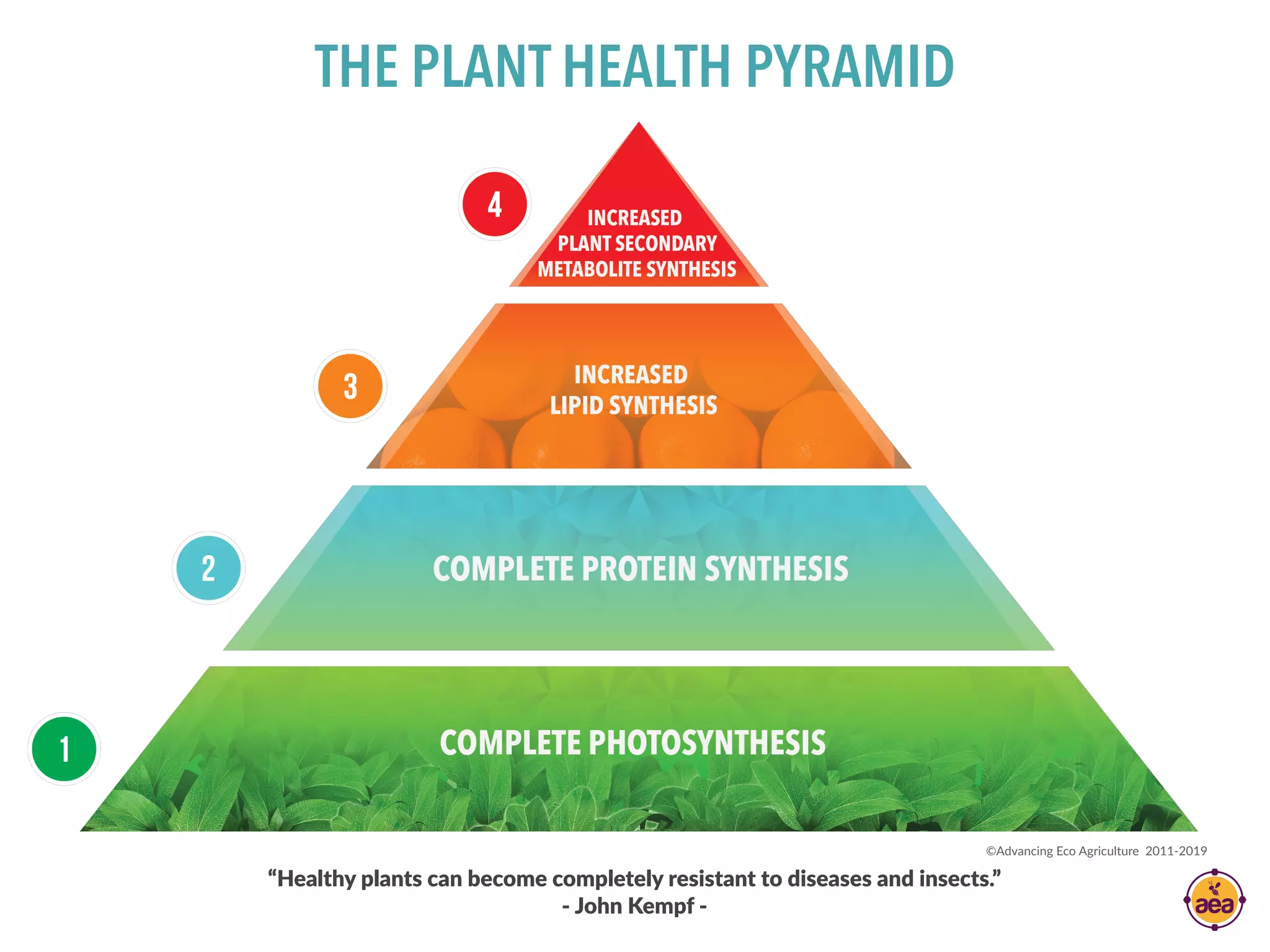 Pyramide For Health Plant Health Pyramid | PDF