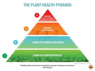 “Healthy plants can become completely resistant to diseases and insects.”
- John Kempf -
THE PLANT HEALTH PYRAMID
©Advancing Eco Agriculture 2011-2019
 