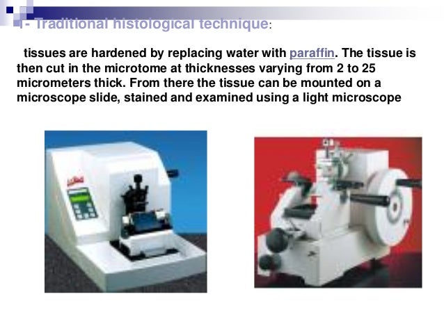 examination of basic animal and plant tissues Encountered the cell as a basic building block and functional unit of choices affect cells, tissues, organs and systems, students should 304-5 distinguish . examination of basic animal and plant tissues Encountered the cell as a basic building block and functional unit of choices affect cells, tissues, organs and systems, students should 304-5 distinguish .