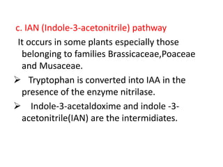 c. IAN (Indole-3-acetonitrile) pathway
It occurs in some plants especially those
belonging to families Brassicaceae,Poaceae
and Musaceae.
 Tryptophan is converted into IAA in the
presence of the enzyme nitrilase.
 Indole-3-acetaldoxime and indole -3-
acetonitrile(IAN) are the intermidiates.
 