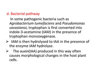 d. Bacterial pathway
In some pathogenic bacteria such as
Agrobacterium tumefaciens and Pseudomonas
savastanoi, tryptophan is first converted into
indole-3-acetamine (IAM) in the presence of
tryptophan monooxygenase.
 IAM is then hydrolysed to IAA in the presence of
the enzyme IAM hydrolyse.
 The auxin(IAA) produced in this way often
causes morphological changes in the host plant
cells.
 