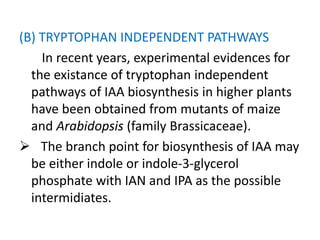 (B) TRYPTOPHAN INDEPENDENT PATHWAYS
In recent years, experimental evidences for
the existance of tryptophan independent
pathways of IAA biosynthesis in higher plants
have been obtained from mutants of maize
and Arabidopsis (family Brassicaceae).
 The branch point for biosynthesis of IAA may
be either indole or indole-3-glycerol
phosphate with IAN and IPA as the possible
intermidiates.
 