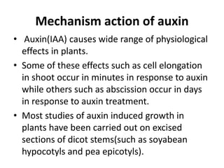 Mechanism action of auxin
• Auxin(IAA) causes wide range of physiological
effects in plants.
• Some of these effects such as cell elongation
in shoot occur in minutes in response to auxin
while others such as abscission occur in days
in response to auxin treatment.
• Most studies of auxin induced growth in
plants have been carried out on excised
sections of dicot stems(such as soyabean
hypocotyls and pea epicotyls).
 