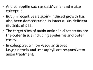 • And coleoptile such as oat(Avena) and maize
coleoptile.
• But , in recent years auxin- induced growth has
also been demonstrated in intact auxin-deficient
mutants of pea.
• The target sites of auxin action in dicot stems are
the outer tissue including epidermis and outer
cortex.
• In coleoptile, all non vascular tissues
I.e.,epidermis and mesophyll are responsive to
auxin treatment.
 