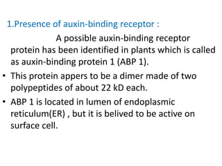 1.Presence of auxin-binding receptor :
A possible auxin-binding receptor
protein has been identified in plants which is called
as auxin-binding protein 1 (ABP 1).
• This protein appers to be a dimer made of two
polypeptides of about 22 kD each.
• ABP 1 is located in lumen of endoplasmic
reticulum(ER) , but it is belived to be active on
surface cell.
 