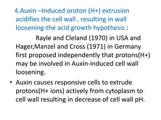 4.Auxin –Induced oroton (H+) extrusion
acidifies the cell wall , resulting in wall
loosening-the acid growth hypothesis :
Rayle and Cleland (1970) in USA and
Hager,Manzel and Cross (1971) in Germany
first proposed independently that protons(H+)
may be involved in Auxin-induced cell wall
loosening.
• Auxin causes responsive cells to extrude
protons(H+ ions) actively from cytoplasm to
cell wall resulting in decrease of cell wall pH.
 