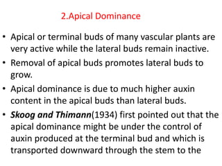 2.Apical Dominance
• Apical or terminal buds of many vascular plants are
very active while the lateral buds remain inactive.
• Removal of apical buds promotes lateral buds to
grow.
• Apical dominance is due to much higher auxin
content in the apical buds than lateral buds.
• Skoog and Thimann(1934) first pointed out that the
apical dominance might be under the control of
auxin produced at the terminal bud and which is
transported downward through the stem to the
 
