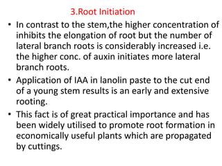 3.Root Initiation
• In contrast to the stem,the higher concentration of
inhibits the elongation of root but the number of
lateral branch roots is considerably increased i.e.
the higher conc. of auxin initiates more lateral
branch roots.
• Application of IAA in lanolin paste to the cut end
of a young stem results is an early and extensive
rooting.
• This fact is of great practical importance and has
been widely utilised to promote root formation in
economically useful plants which are propagated
by cuttings.
 