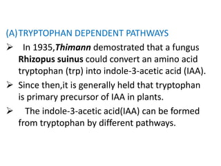 (A)TRYPTOPHAN DEPENDENT PATHWAYS
 In 1935,Thimann demostrated that a fungus
Rhizopus suinus could convert an amino acid
tryptophan (trp) into indole-3-acetic acid (IAA).
 Since then,it is generally held that tryptophan
is primary precursor of IAA in plants.
 The indole-3-acetic acid(IAA) can be formed
from tryptophan by different pathways.
 