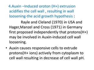 Plant hormone auxin
