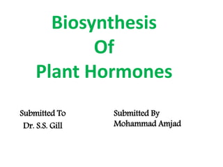 Biosynthesis
Of
Plant Hormones
Submitted To
Dr. S.S. Gill
Submitted By
Mohammad Amjad
 