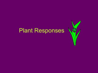 Plant Responses 