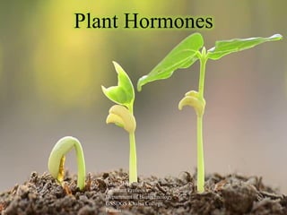 Plant Hormones
Amandeep Singh
Assistant Professor
Department of Biotechnology
GSSDGS Khalsa College
Patiala
 