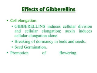 Effects of Gibberellins
• Cell elongation.
• GIBBERELLINS induces cellular division
and cellular elongation; auxin induces
cellular elongation alone.
• Breaking of dormancy in buds and seeds.
• Seed Germination.
• Promotion of flowering.
 