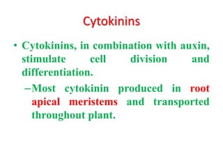 Cytokinins
• Cytokinins, in combination with auxin,
stimulate cell division and
differentiation.
–Most cytokinin produced in root
apical meristems and transported
throughout plant.
 