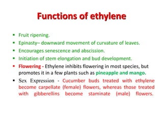 Functions of ethylene
 Fruit ripening.
 Epinasty– downward movement of curvature of leaves.
 Encourages senescence and abscission.
 Initiation of stem elongation and bud development.
 Flowering - Ethylene inhibits flowering in most species, but
promotes it in a few plants such as pineapple and mango.
 Sex Expression - Cucumber buds treated with ethylene
become carpellate (female) flowers, whereas those treated
with gibberellins become staminate (male) flowers.
 