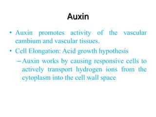 Auxin
• Auxin promotes activity of the vascular
cambium and vascular tissues.
• Cell Elongation: Acid growth hypothesis
–Auxin works by causing responsive cells to
actively transport hydrogen ions from the
cytoplasm into the cell wall space
 