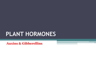 PLANT HORMONES
Auxins & Gibberellins
 