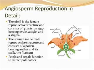 Plant Hormones and Plant Reproduction.ppt