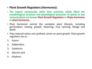 Plant hormones and their applications | PPTX