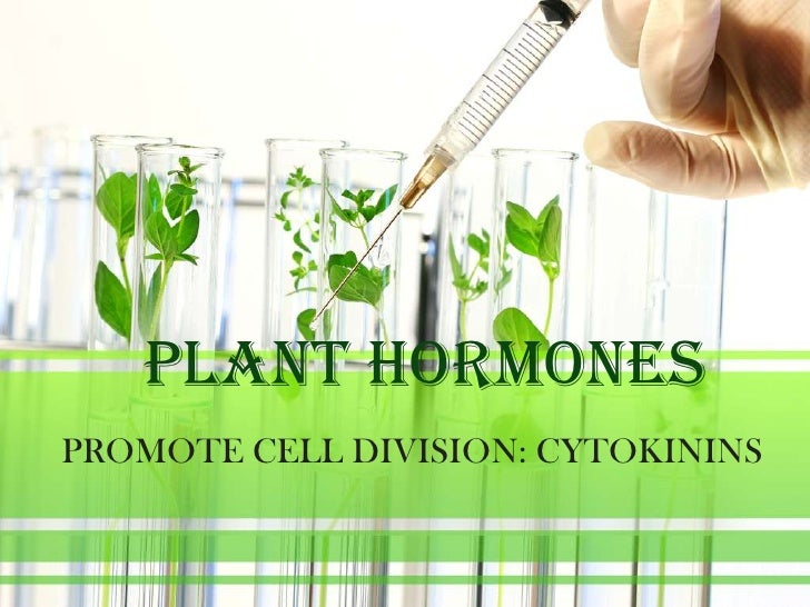 Plant hormones