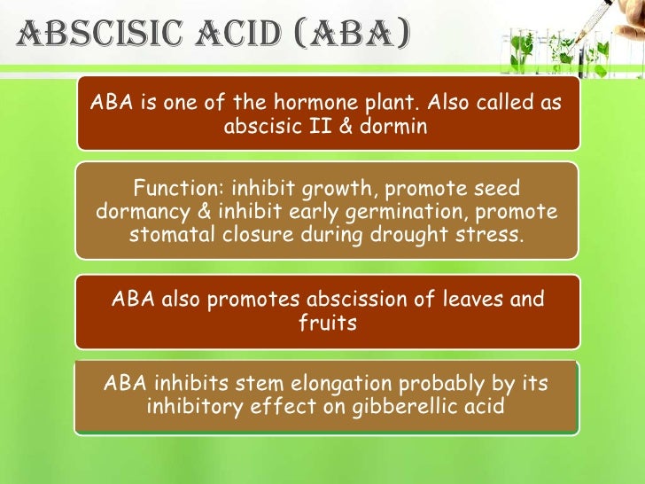 Plant hormones