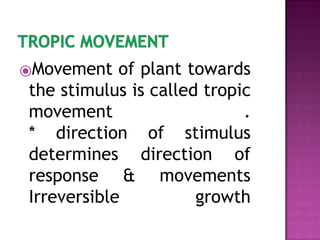 Movement Plant Example plant hormones class 10 updated.pptx