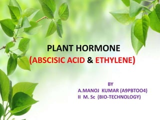 PLANT HORMONE
(ABSCISIC ACID & ETHYLENE)
BY
A.MANOJ KUMAR (A9PBTOO4)
II M. Sc (BIO-TECHNOLOGY)
 